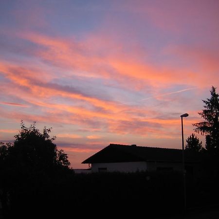 Landhaus Harzblick Guest House กอสลาร์ ภายนอก รูปภาพ